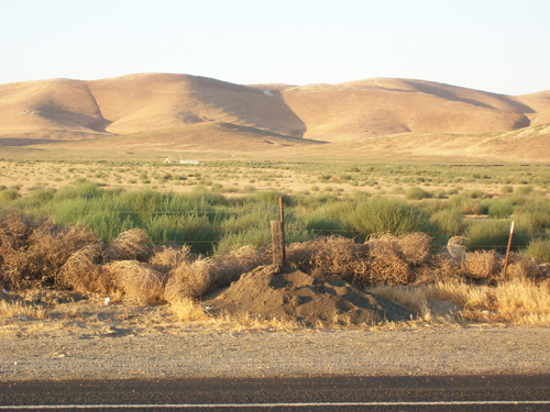 Farmland_2